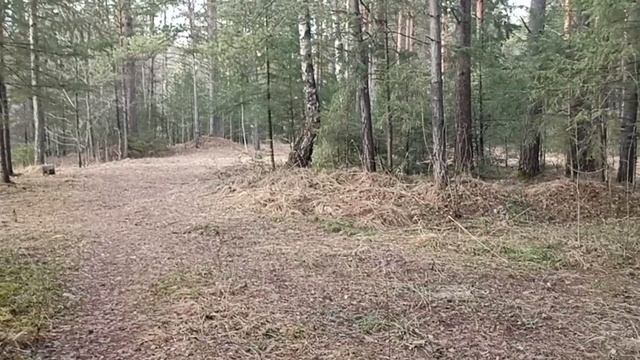 Весенние настроение.