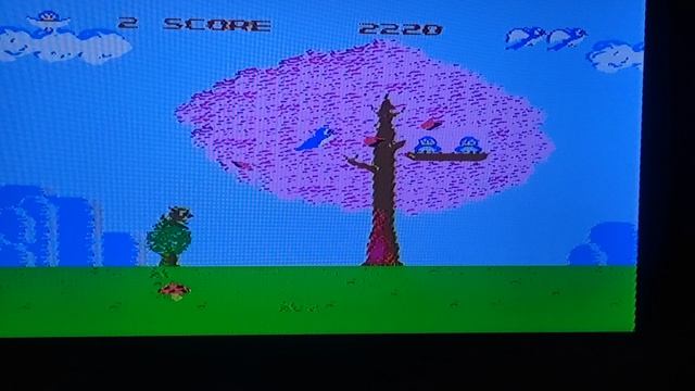 Bird week dendy