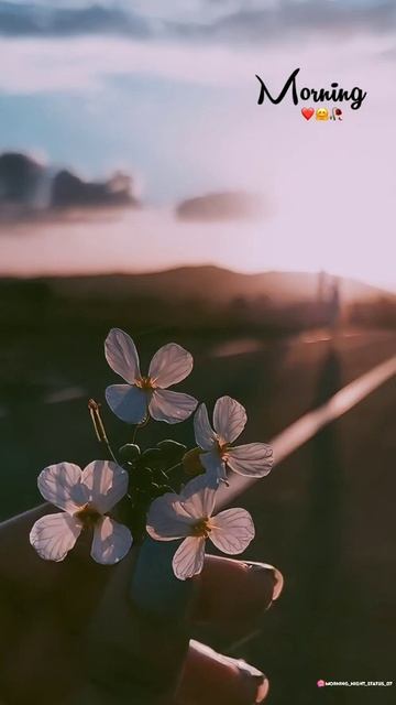 Good Morning Status || Whatsapp Morning Status 🌄❤ || HD Morning|| Status#goodmorningstatus#shorts#H