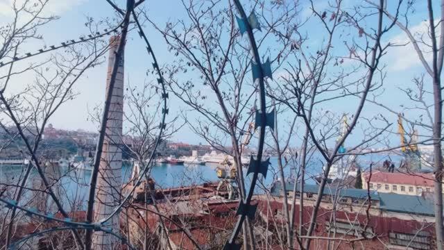 За трансформаторной будкой - София Казачек
