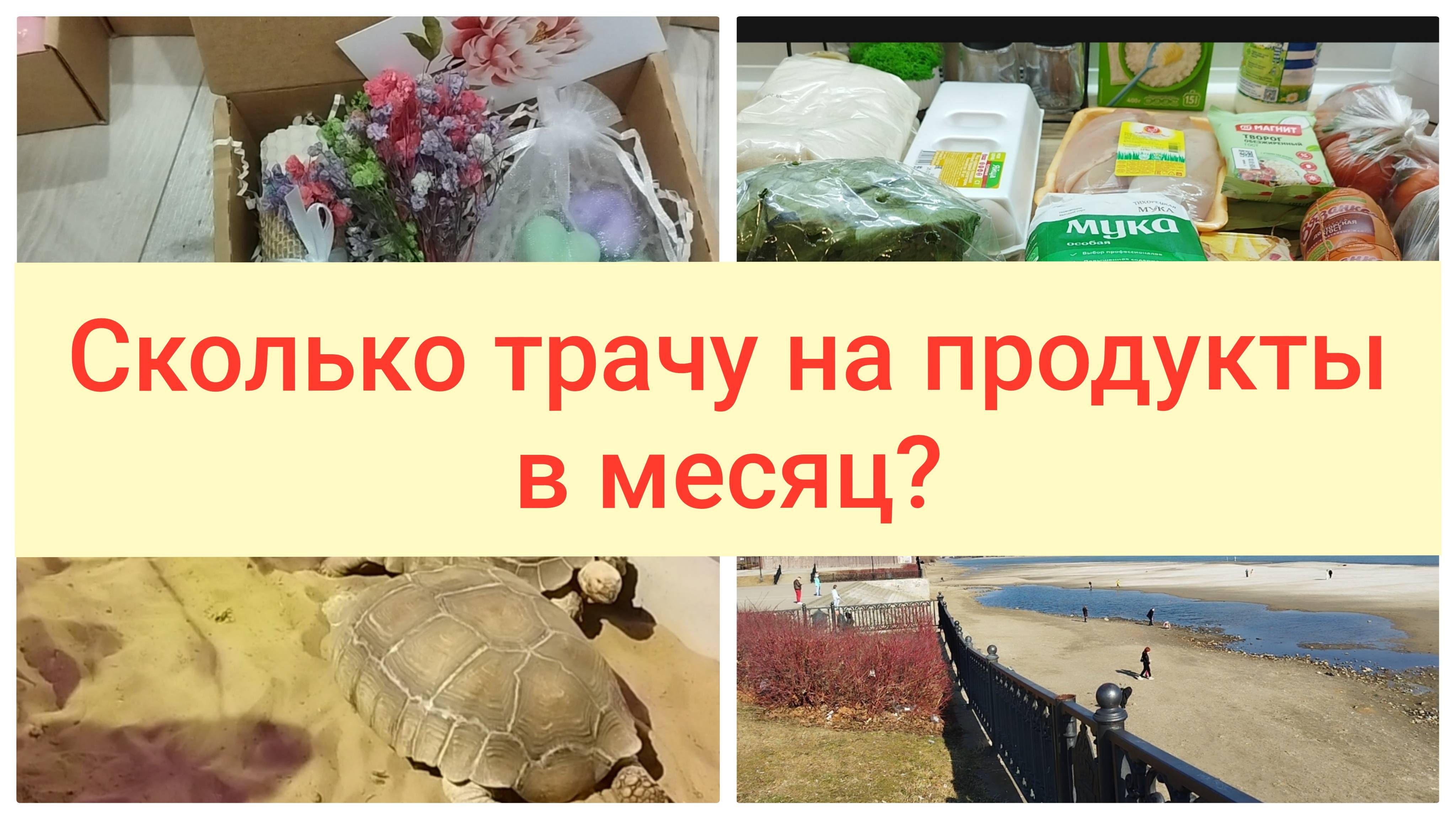Покупки Магнит/ Подарки учителям/Черепахи в Парке Галицкого Краснодар