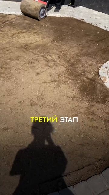 Раскрываем все карты! Сколько стоит уложить рулонный газон? Часть 1