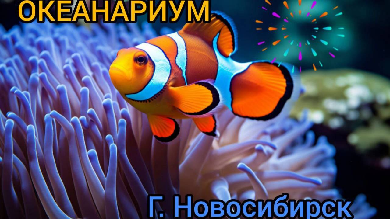 Океанариум Новосибирск Дельфиния