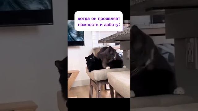 Новая подборка готова!)