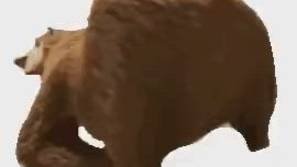 dfgdgdfgf