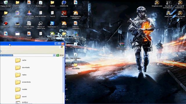 CS: How to install skins