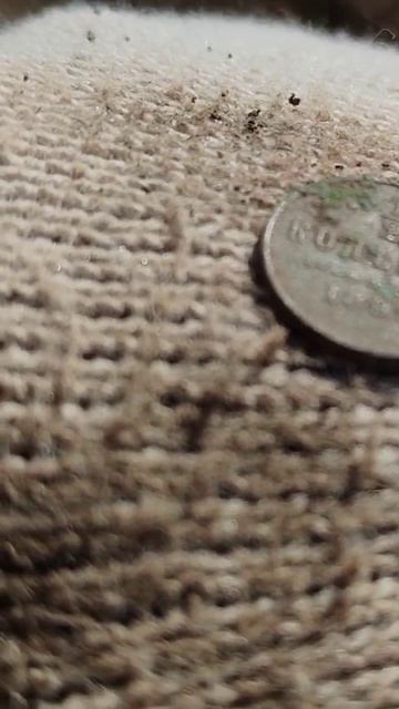 Цари. НОКТА легенд