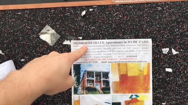 Тайны гигантских университетов в США. Учёба в Америке изнутри, университеты Америки