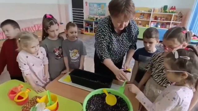 Посадка лука