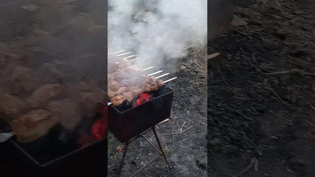 шашлычок✌