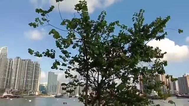 A GLIMPSE OF HONGKONG/SEASIDE VIEW/BRIDGES AND PUBLIC ROAD/CHELS STORY TV