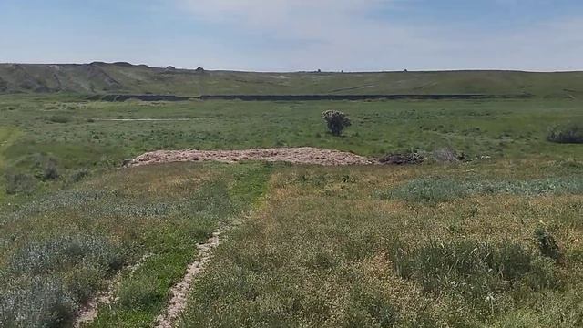День Сурка,одно и тоже и без выходных