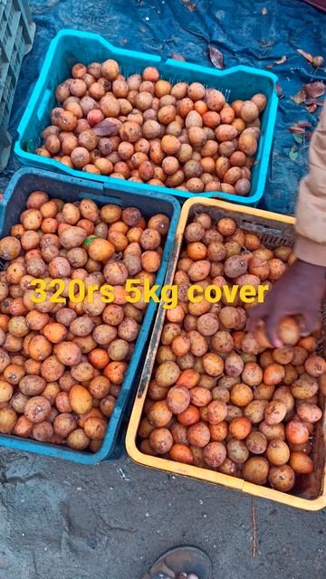 Today sapota rate in batasingaram market hyderabad.