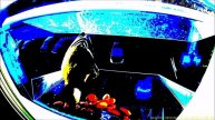 Экранная кормушка Синица Win'G (с функцией антиголубь)'/'2023.
