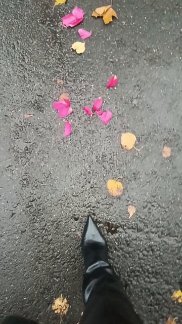 А какие цветы вы любите??? Напишите в комментариях, а Я  скажу, что вас ждет...Миа🧚♀️❤