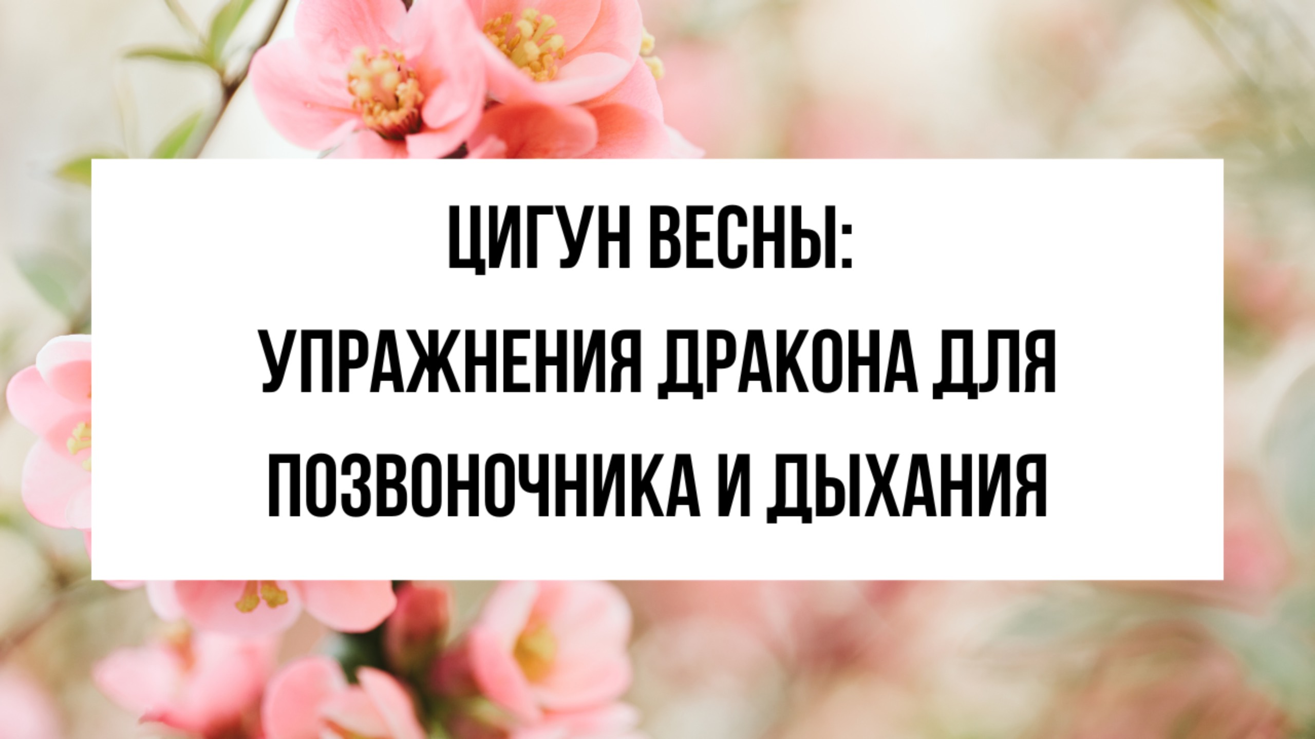 Дракон пробуждает тело: цигун для гибкости и энергии весной