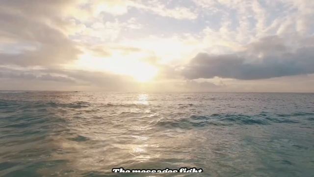 Balavoine Tous Les Cris  les SOS Lyrics --Translated English --