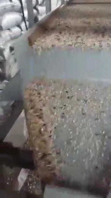 Станок (Шелушитель)