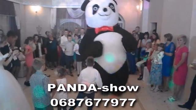 каштан 1