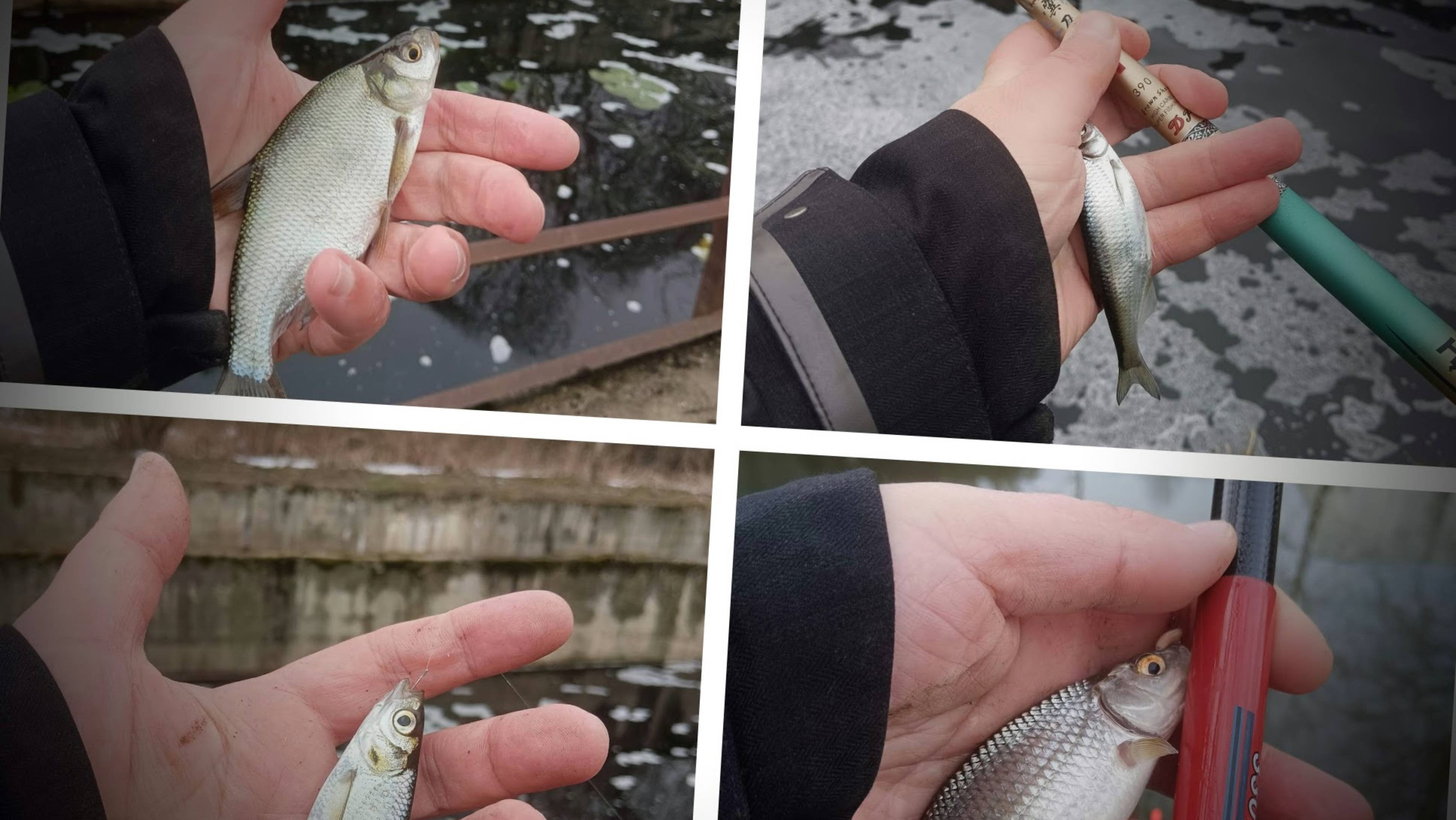 Весна, холода ищем рыбку у пруда