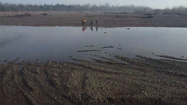 Поехали в Черторию посмотреть на лебедей (25.01.2021)