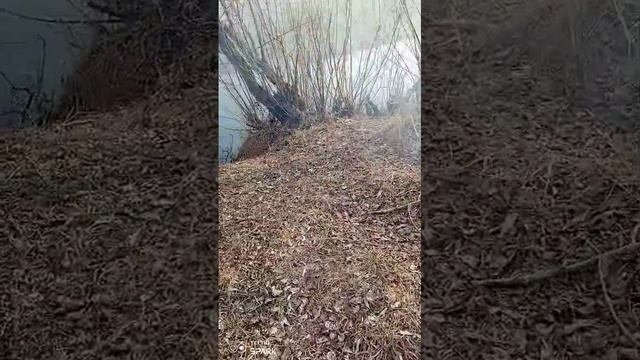 устроили себе романтический пикник у озера