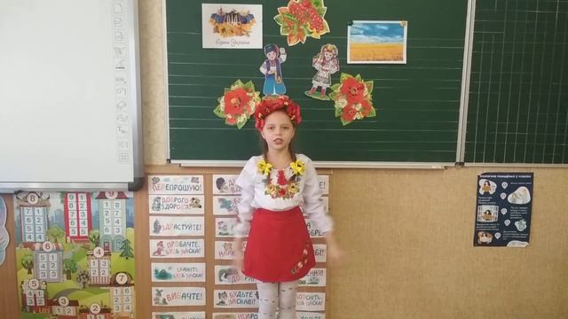 Склярова  Дар'я  Красноградський  ліцей N2