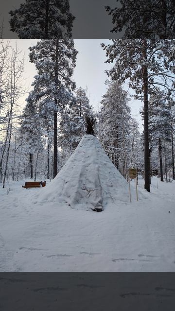 Зимний сон