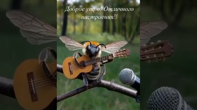 Мохнатый шмель🐝🐝🎵🎶