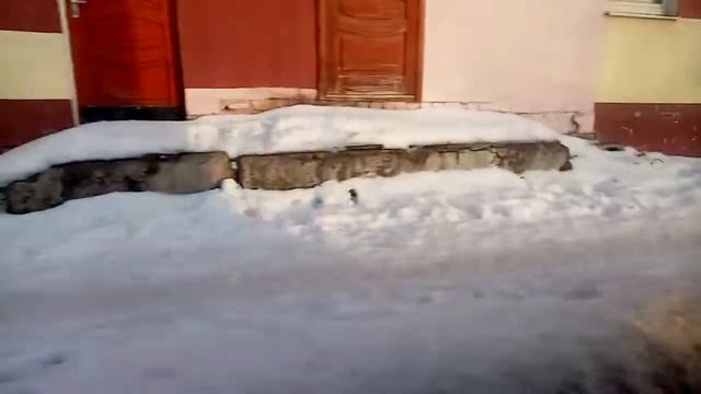 Бывший оршанец! Поездка на автобусе "МАЗ-103.065" #АВ 4094-2 В Витебске(13.02.2022)
