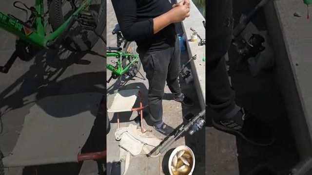 рыбалка на Стрелке