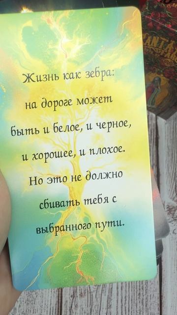 Подсказка Вселенной ❤️ 15-04-2025