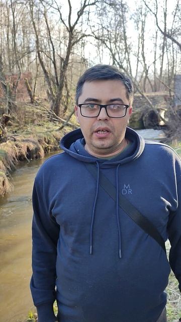 Аномальная зима 2025: снег пропал, а что пришло взамен?