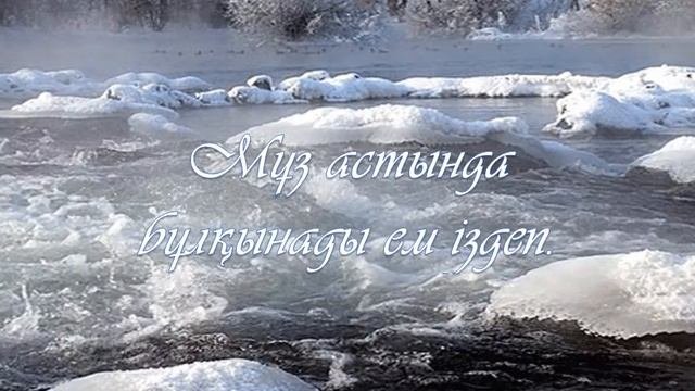 Арман Шеризат Ақпан қыз