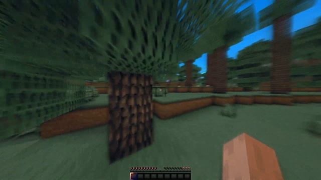 60fps rsmb test