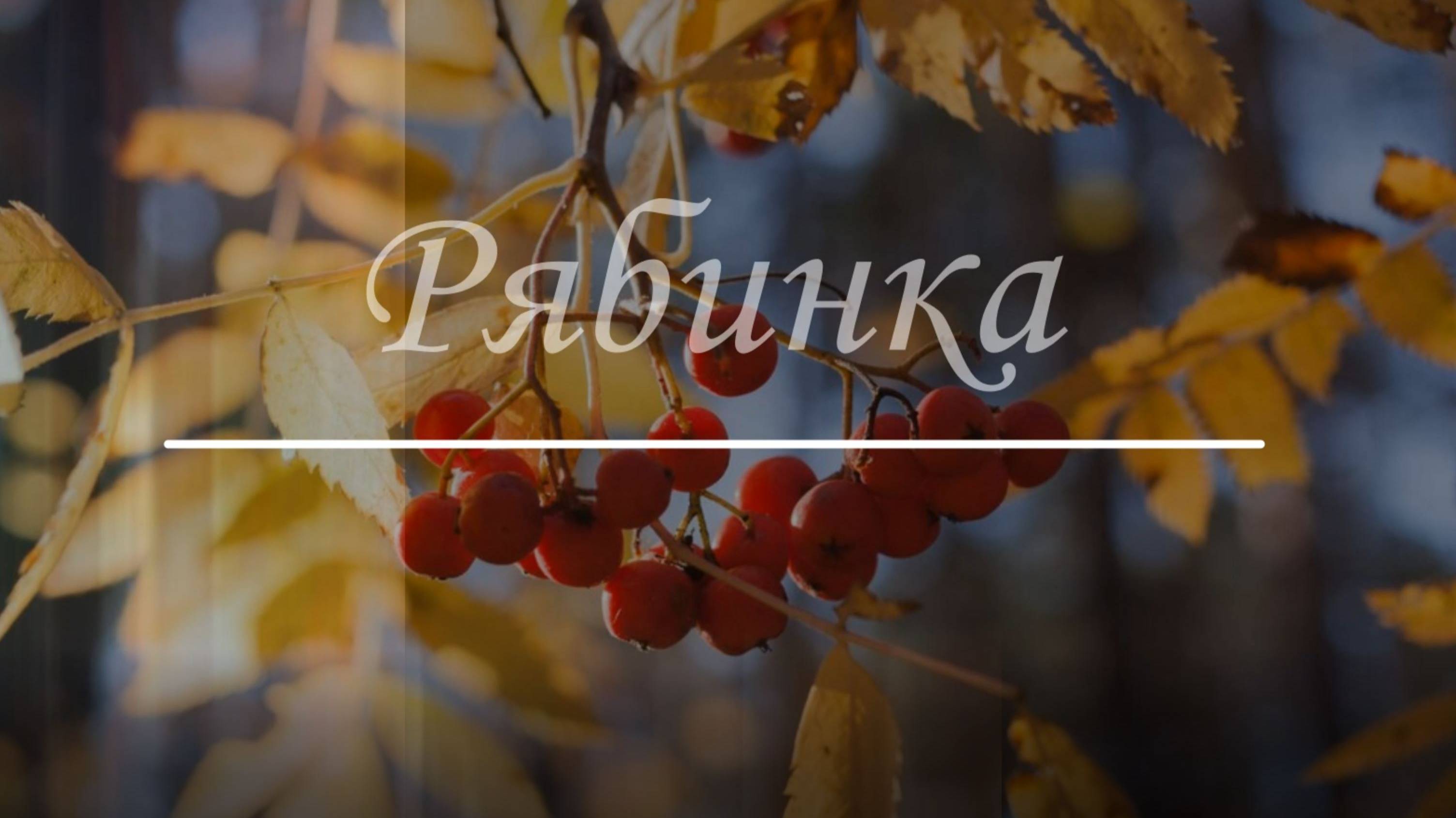 Рябинка