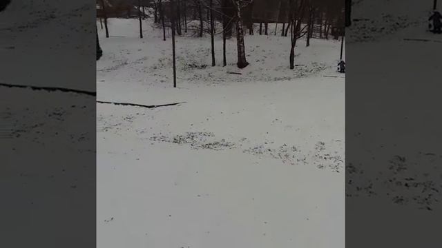 Лианозовский парк. Горка