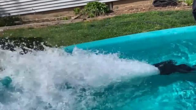 Electric Paddleboard Fin-functional demonstration