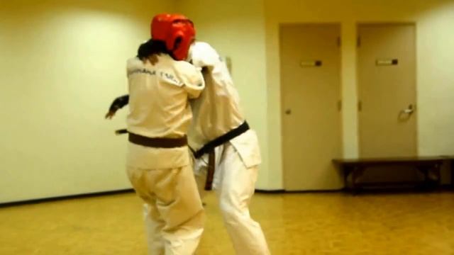 Ashihara Karate: Kumite or Sparring Practice