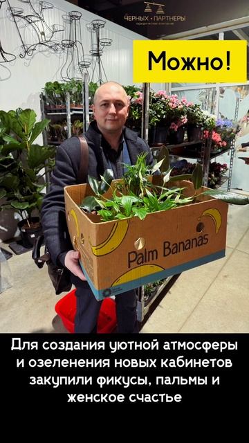 Можно ли купить женское счастье?.mp4