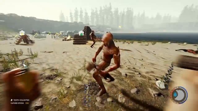 THE ROCK COLLECTORS - THE FOREST #2 - SkShadow
