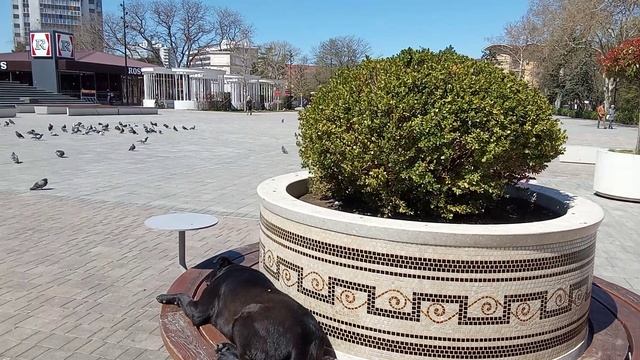 Анапа театральная площадь.