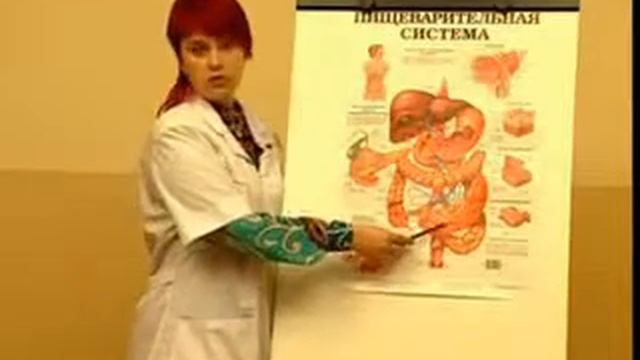 Причины по которым организм нуждается в воде