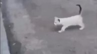 Боньк