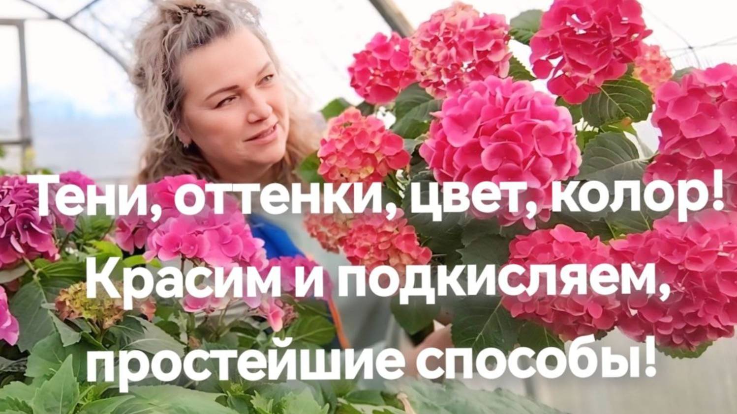 Красим гортензию простейшими способами.
