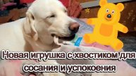 Новая игрушка с хвостиком для сосания и успокоения.
