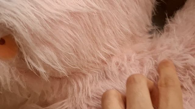 Пробую в деле дешёвый моющий пылесос