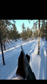 Охота на глухаря с лунок.