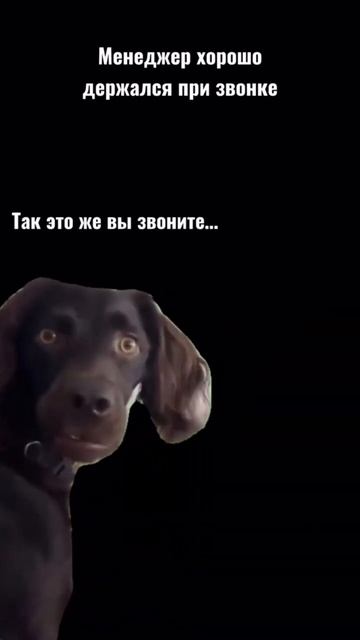 Мошенник обманул клиента на 250 миллионов - Реакция клиента удивила! #shorts #сбербанк