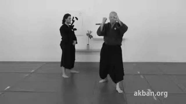 Mae sokugyaku geri, push kick, basic   Ninjutsu technique for Akban wiki